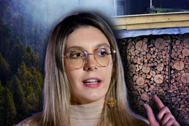 ministrul diana buzoianu anunta ca marcarea lemnului de taiat din paduri nu se mai face cu ciocanul reprezinta un sistem arhaic 694545cb97dca