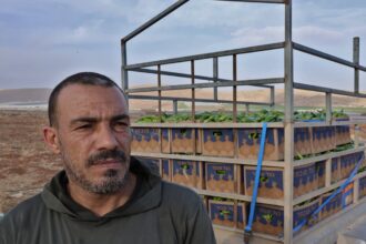 new israeli barrier will slice through precious west bank farmland 693d8ff2c61df