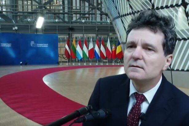 nicusor dan ignora tensiunile de pe scena politica coalitia functioneaza ce a raspuns cu privire la o posibila motiune a usr impotriva psd 6943ceae01ccf