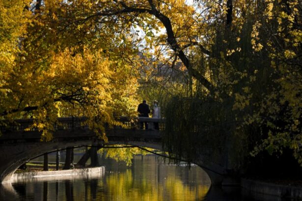 prognoza meteo pana la revelion cum va fi vremea intre craciun si anul nou 692e7e7e68972