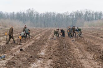 romsilva anunta ca va planta 28 milioane de puieti in campania de toamna 69395921d9c85