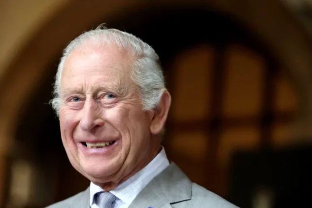 scrisoarea regelui charles pentru nicusor dan de 1 decembrie va transmitem cele mai bune urari dumneavoastra si tuturor romanilor 692d628a87327