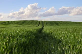 un demnitar european vorbeste despre suveranitatea alimentara si un iminent razboi agricol 6936dcbf77463