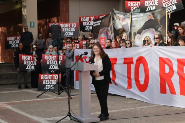 us student who took four chickens after breaking into a farm sentenced to 90 days in jail 6932010e6f47d