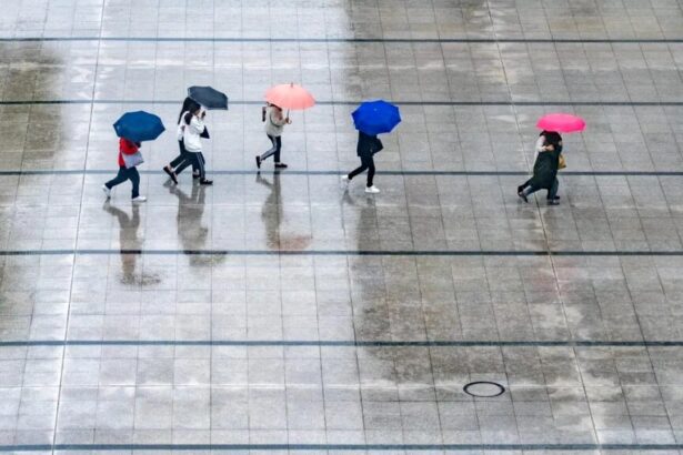 vreme mohorata la vot ploi slabe si 4 6 grade in bucuresti 69351287e0d9c