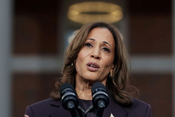 wrong voters wrong message progressives autopsy lays bare kamala harris failures 69395eb9f416d