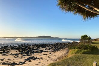 after four shark attacks in 48 hours nsw authorities urge beachgoers just go to a pool 696f4c6941ac7