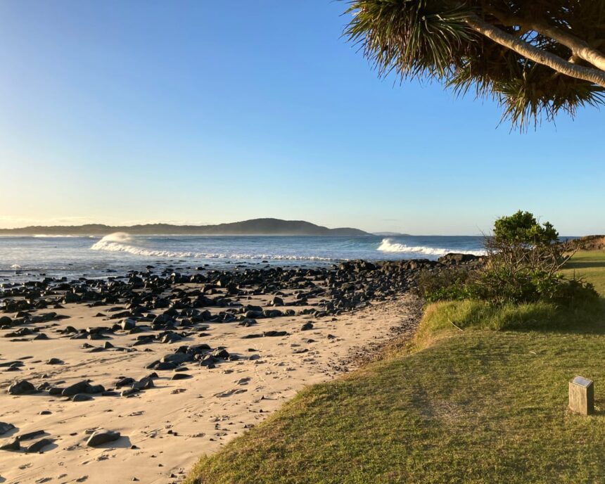 after four shark attacks in 48 hours nsw authorities urge beachgoers just go to a pool 696f4c6941ac7