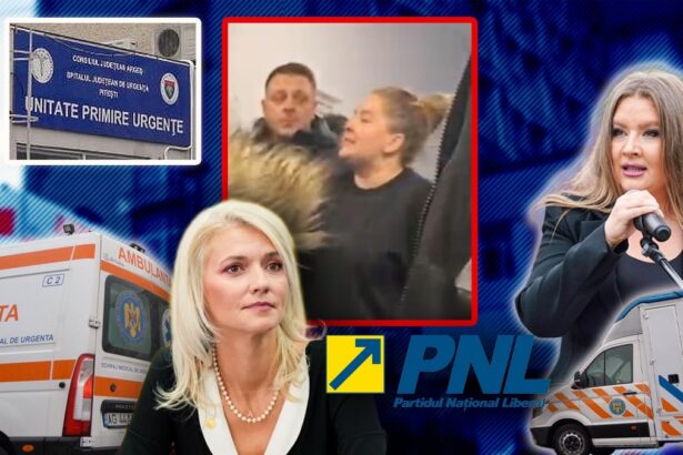 alina gorghiu pnl arges prefecta ioana facaleata trebuie sa demisioneze depunem cererea oficiala privind controlul invocat 6960da39e26fe