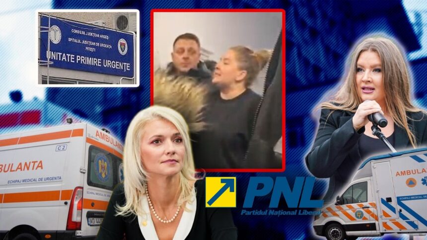alina gorghiu pnl arges prefecta ioana facaleata trebuie sa demisioneze depunem cererea oficiala privind controlul invocat 6960da39e26fe