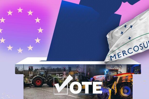 care sunt urmatorii pasi in scandalul acordului mercosur gandul publica scenariul in care acordul nu va fi votat 696272227a52d