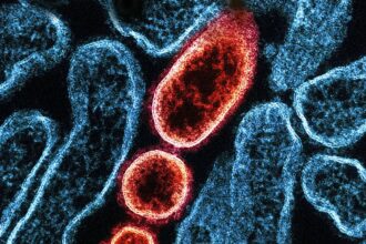 ce este virusul nipah si de ce autoritatile se tem de o epidemie 697b1b47f3777