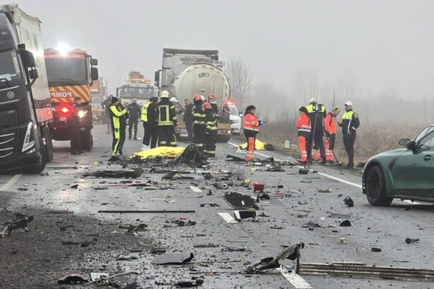 cei sapte morti in accidentul din timis erau suporteri ai clubului elen paok salonic 69790e1658e06