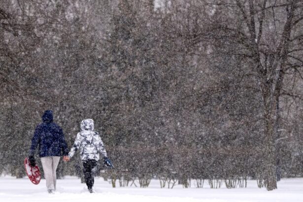 cod galben de viscol in zonele montane din vrancea si buzau rafale de pana la 85 km h 696361804ae67