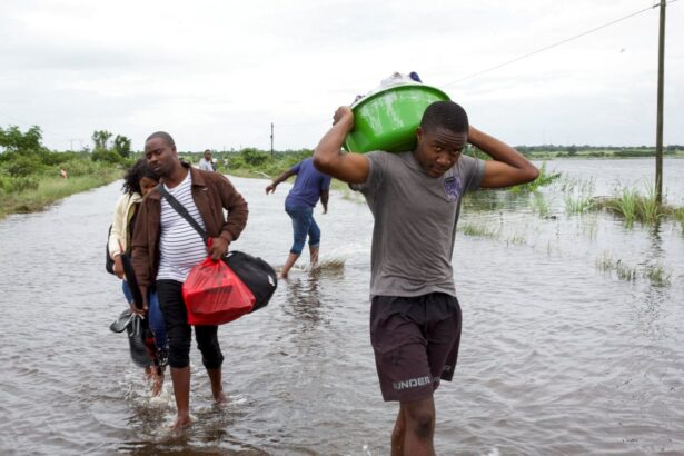 crocodile warnings as floods devastate southern africa 6977836895280