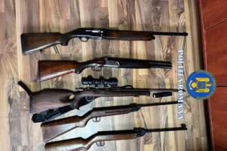 doi barbati din timis retinuti pentru arme detinute ilegal si braconaj cinegetic 6979140ebb563