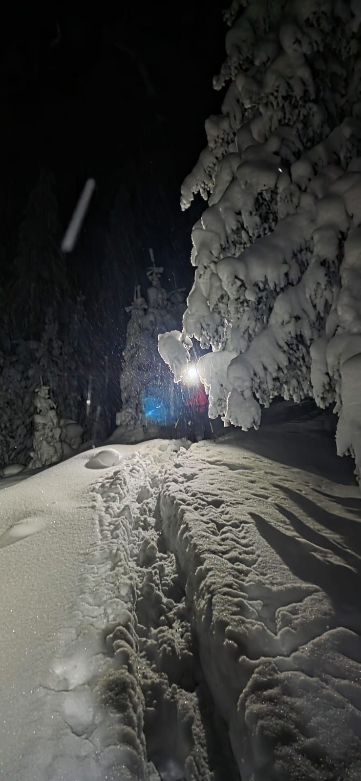 doi tineri ucraineni blocati in muntii maramuresului actiune de salvare dificila ger si zapada de 2 metri 697b9637b0696