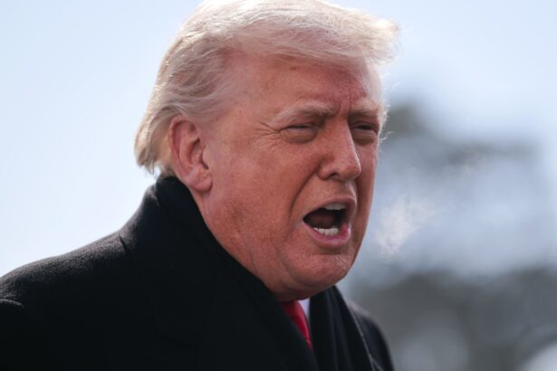 dollar suffers worst one day slide since last april after trump says currency hasnt fallen too low 69793883d8cb0