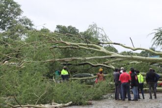 extreme rainfall inundates south africa and mozambique 696a177f32f92