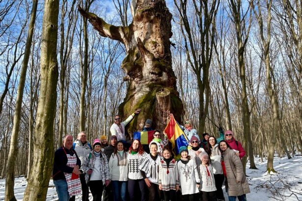 mica unire marcata prin hora unirii la un stejar vechi de 700 de ani in judetul sibiu 6974f1d475154