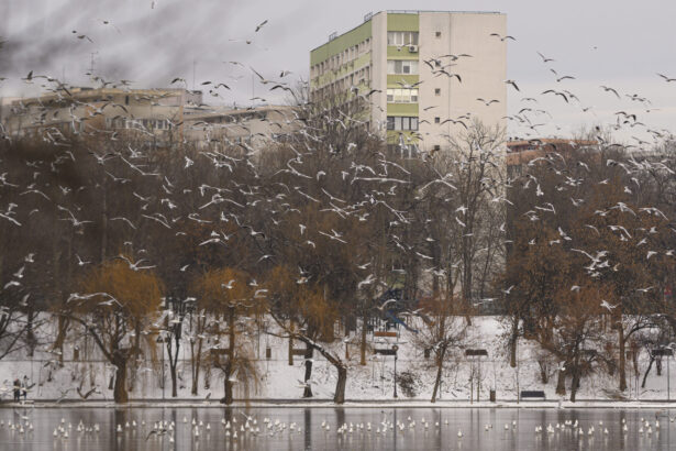 minus 12 grade in bucuresti capitala intra sub cod galben de frig 696b47fdb9cd5