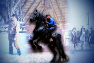 povestea incredibila a imblanzitorului de cai din parlamentul romaniei deputatul a mers calare 350 km pana la alba iulia 6963ba899fb36