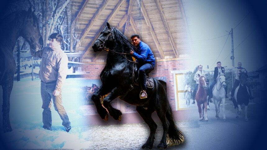 povestea incredibila a imblanzitorului de cai din parlamentul romaniei deputatul a mers calare 350 km pana la alba iulia 6963ba899fb36