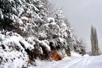 prognoza anm racire accentuata a vremii in bucuresti cu lapovita ninsoare si vant puternic 695f6de758067