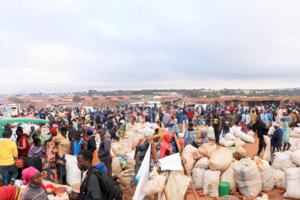 quarter of developing countries poorer than in 2019 world bank finds 69666751c5e6f