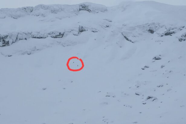 risc mare de avalansa in muntii fagaras 696a595e1ecbc