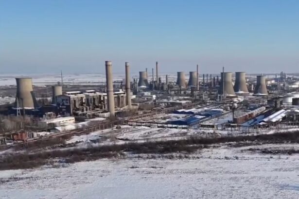 s a vandut fostul arpechim din arges platforma a ajuns in proprietatea unor companii cu profile diverse de activitate 6968d19913669