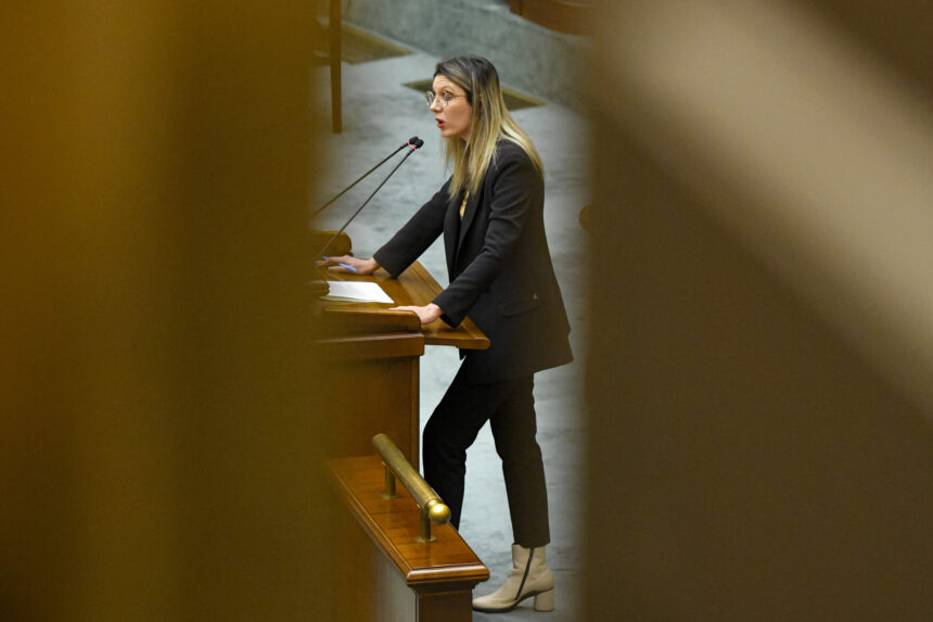 stejar de 150 de ani ras de pe fata pamantului in padurea felix diana buzoianu anunta dosare penale pentru firma de exploatare si pentru presupusi complici de la romsilva 697bbb2f8b53b