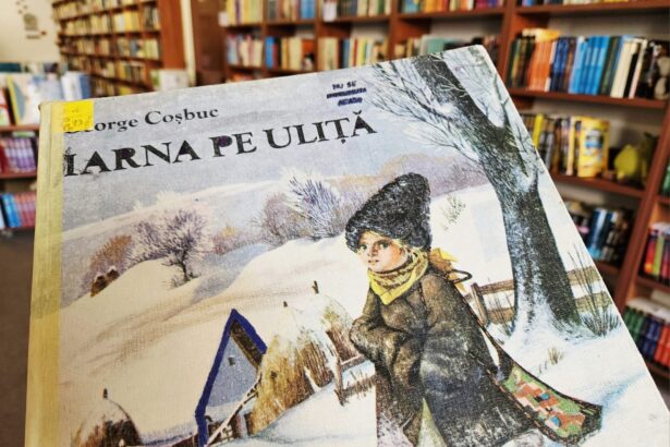 straduta care l a inspirat pe george cosbuc sa scrie iarna pe ulita este reala si se afla intr un sat din marginimea sibiului 697a5e8e3615c