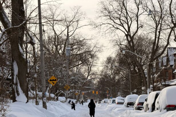 toronto digs itself out after largest snowfall in citys history 6977ae7d7dc0b