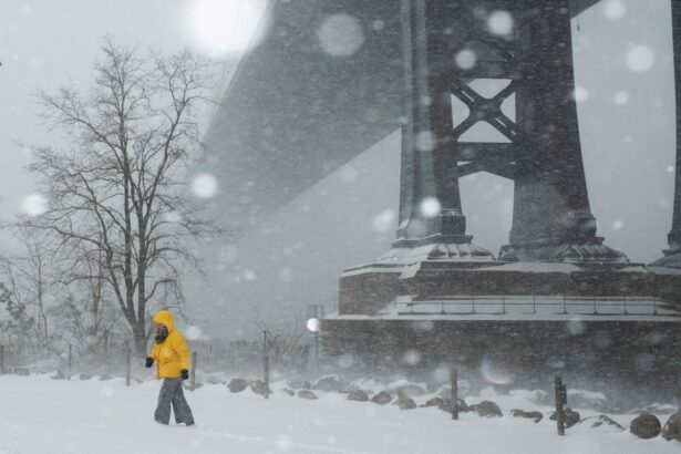 us winter storm at least 15 people dead and 800000 without power 6977bf0cc970d