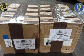 vrancea politistii au descoperit inca 15 kilograme de canabis intr o ancheta de trafic international de droguri 697cf37a0bde8