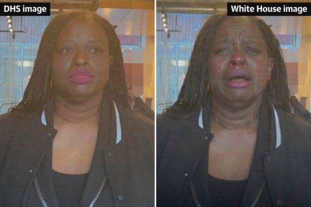 white house posts digitally altered image of woman arrested after ice protest 6972ac961d0eb