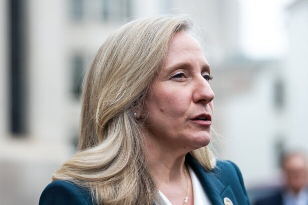 abigail spanberger democrats turn to centrist as party seeks return to relevance 699da5c453cd4