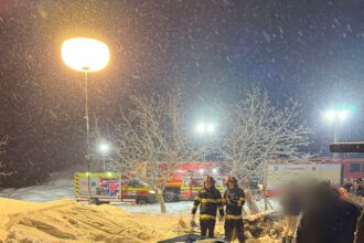 acoperisul unui saivan s a prabusit in prahova din cauza zapezii depuse 30 de animale au murit 699a9ad80e551