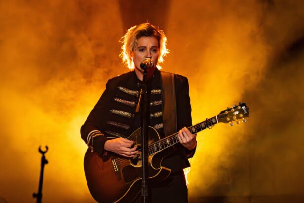 brandi carlile concert raises over 600000 for families affected by ice 699cb1f2dbf4e