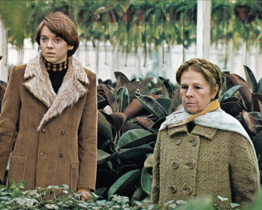 bud cort star of harold and maude dies aged 77 698ce62278741