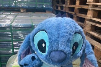 captura in portul constanta mii de jucarii si genti posibil contrafacute ridicate de politisti 698f0e1406858