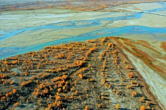 china schimba peisajul climatic desertul taklamakan transformat in rezervor natural de carbon dupa decenii de impaduriri 698dd2fd04547