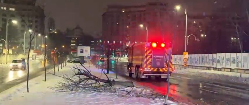 cod galben de ninsori si viscol copaci cazuti in bucuresti drumuri inchise in ialomita 699944a605f9b