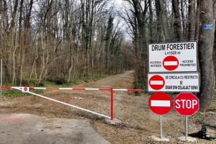 corpul de control a finalizat verificarile privind drumul forestier din padurea baneasa ce arata raportul 698b6bab19cee