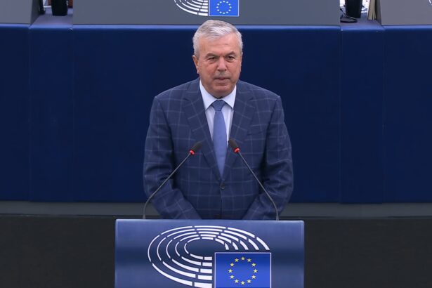 dan nica discurs in parlamentul european doua milioane de romani nu si pot incalzi locuintele 699d88c8808e6