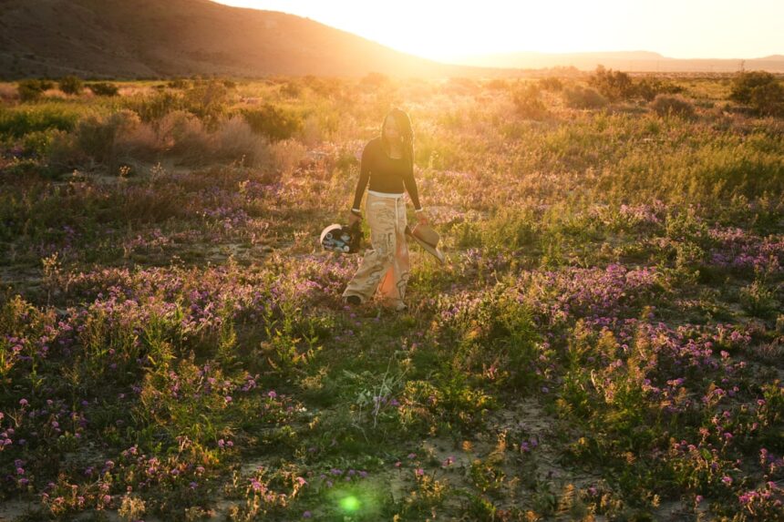 death valley erupts in wildflowers in sign of developing superbloom 699f6c7ac80c3