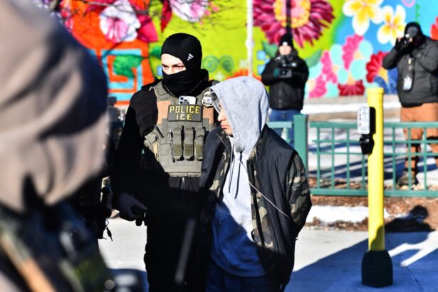 democrats in four states seek to bar ice employees from future civil service jobs 69a03be818ba9