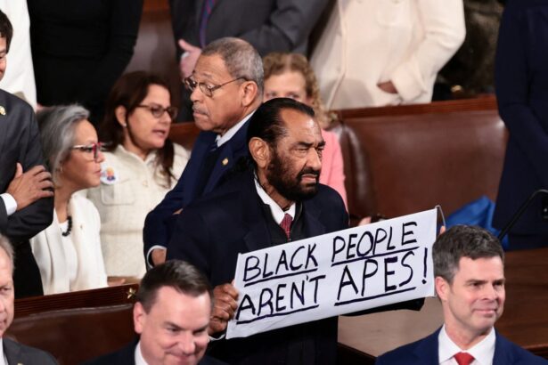 democrats refuse to stand for trump as al green ejected over apes protest sign 699e74023e41a