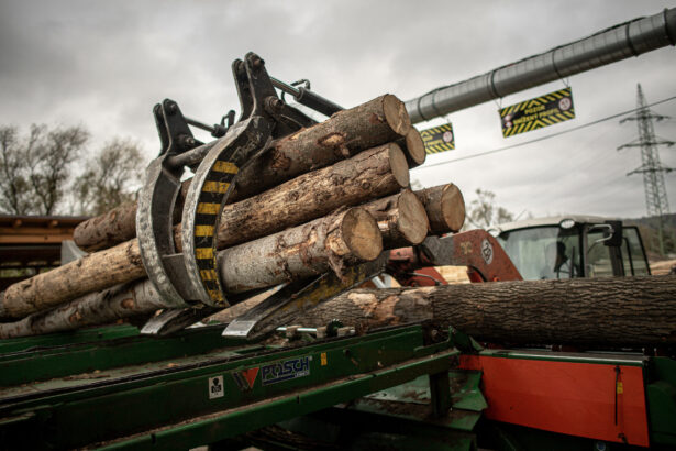 diana buzoianu 3 560 mc de lemn taiat ilegal descoperiti intr o luna prejudiciu de 2 milioane de lei 699d6dd4c29eb